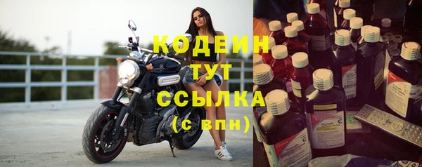 ПСИЛОЦИБИНОВЫЕ ГРИБЫ Осташков