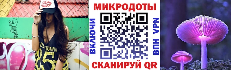 закладки  Пошехонье  Псилоцибиновые грибы мицелий 